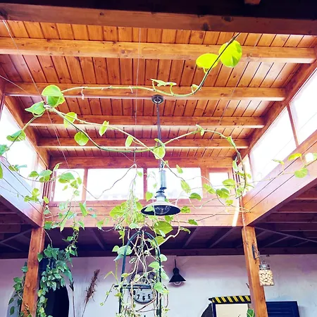 Casa Rural Estilo Canario * San Bartolome (Las Palmas)