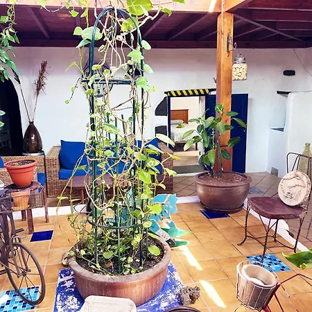 Villa Casa Rural Estilo Canario San Bartolome (Las Palmas)